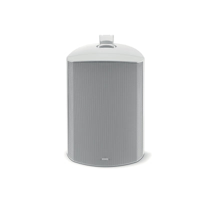 Focal 100 OD8-T